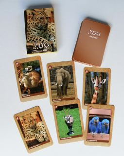 Obrázek z Černý Petr ZOO 